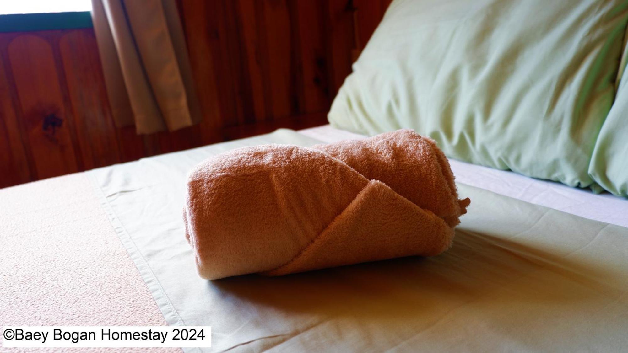 Baey Bogan Homestay Sagada Exterior photo