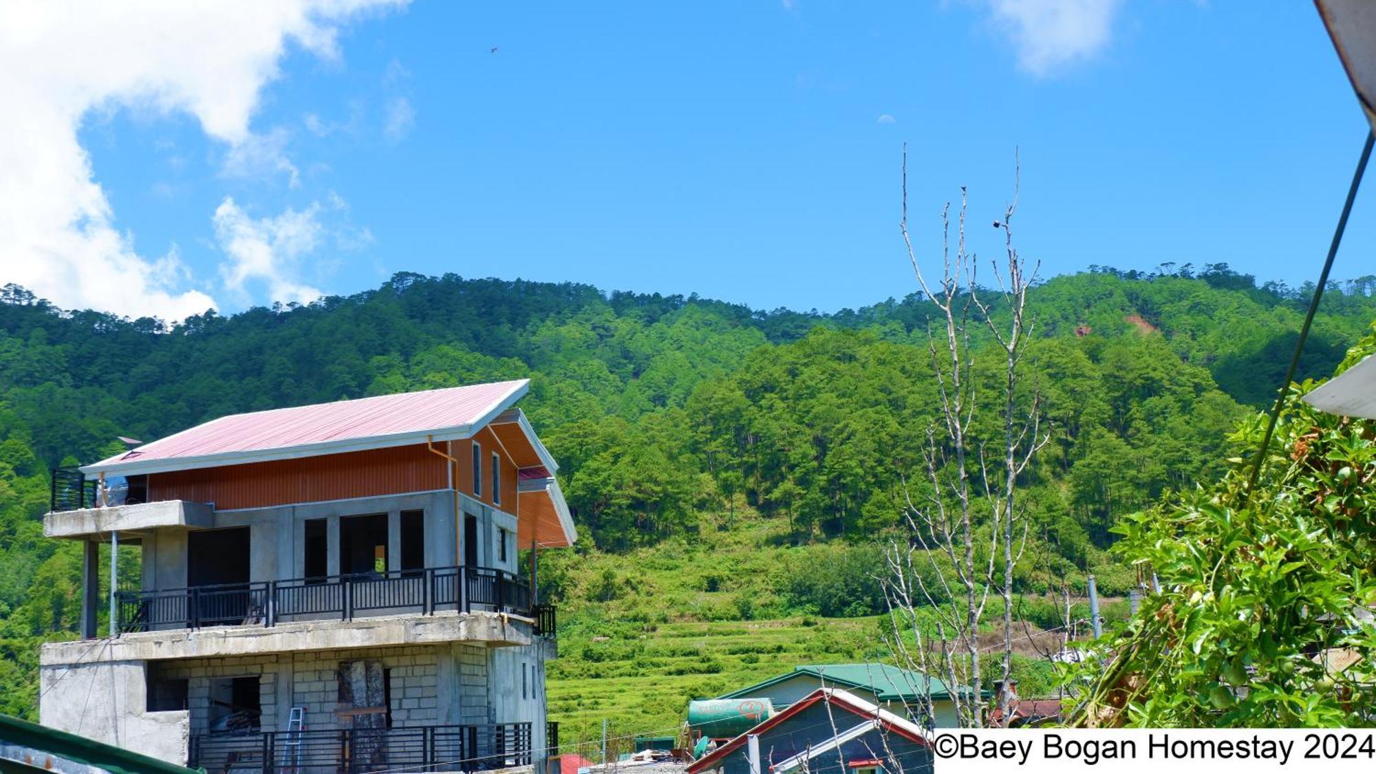 Baey Bogan Homestay Sagada Exterior photo