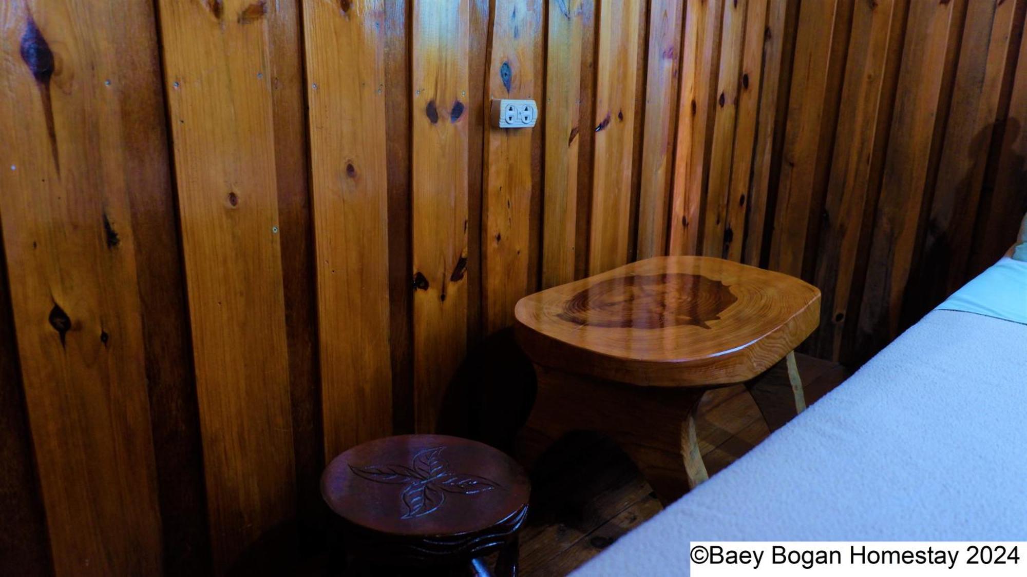Baey Bogan Homestay Sagada Exterior photo