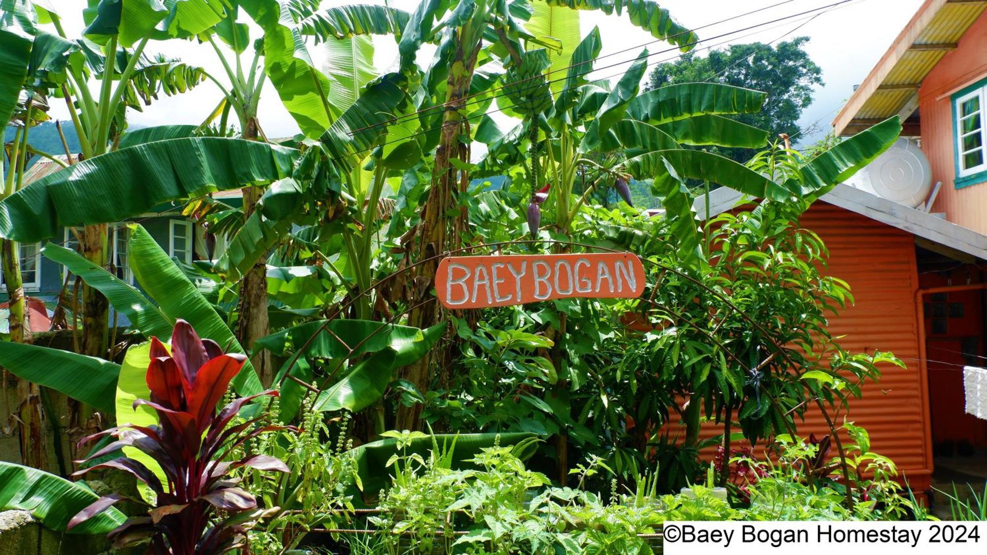 Baey Bogan Homestay Sagada Exterior photo