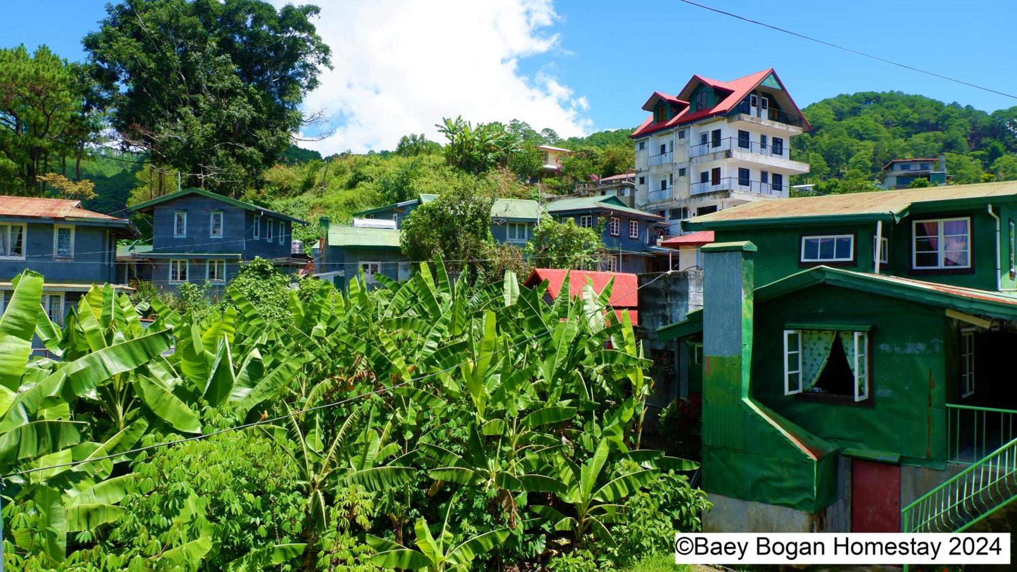 Baey Bogan Homestay Sagada Exterior photo