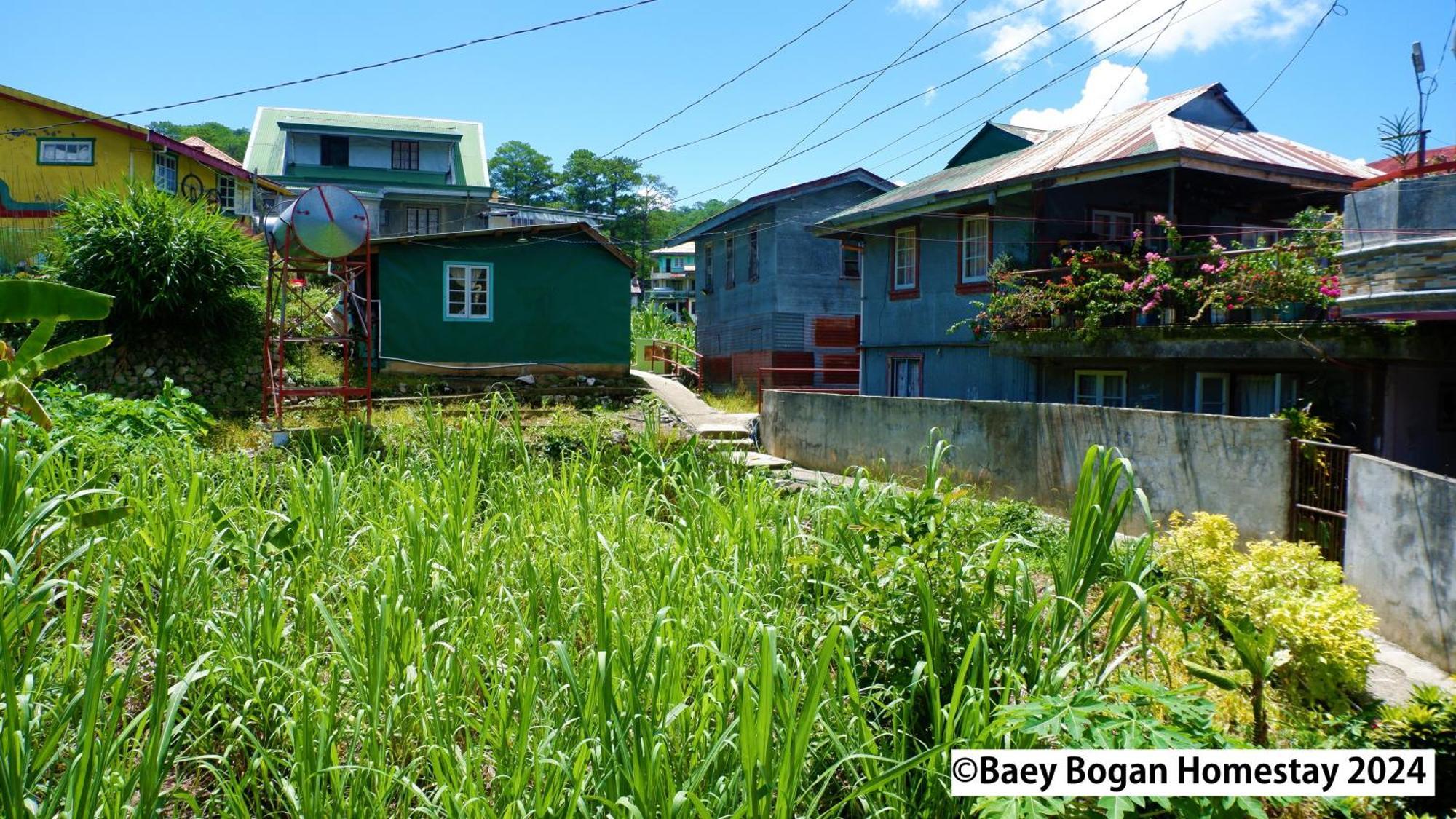 Baey Bogan Homestay Sagada Exterior photo