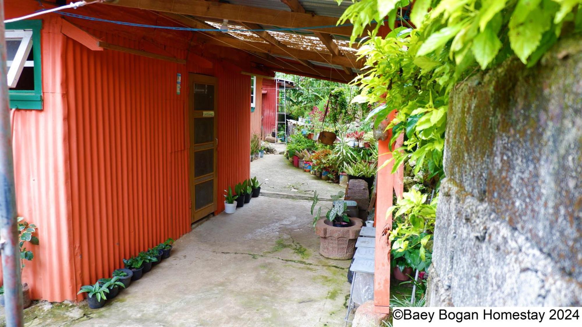 Baey Bogan Homestay Sagada Exterior photo