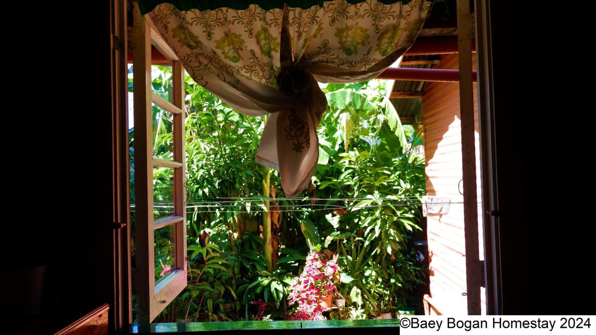 Baey Bogan Homestay Sagada Exterior photo